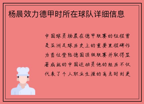 杨晨效力德甲时所在球队详细信息