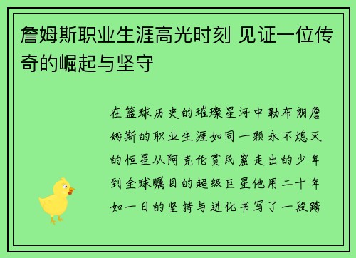 詹姆斯职业生涯高光时刻 见证一位传奇的崛起与坚守