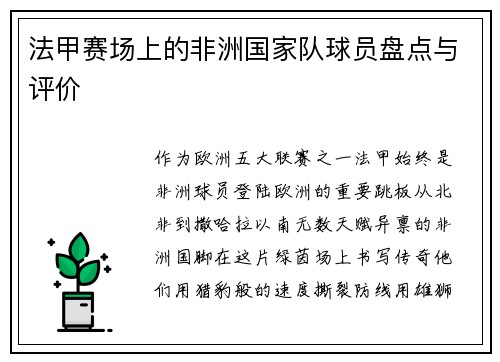 法甲赛场上的非洲国家队球员盘点与评价